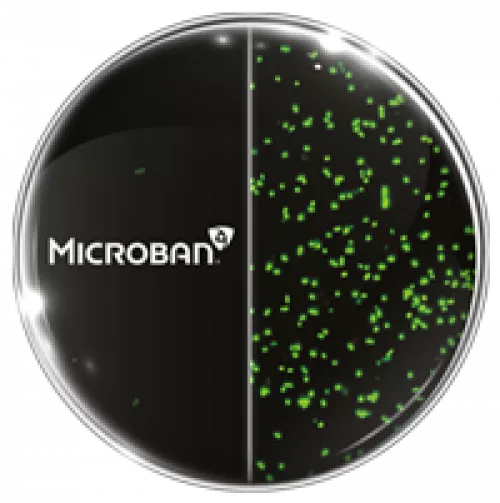 https://d3f46d68kgqe8v.cloudfront.net/uploads/images/built-in/_partnerLogos/8860/mbns18_confocal-bacteria-microban-treated.webp