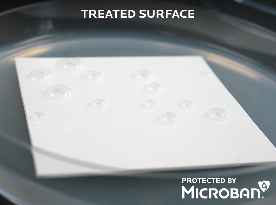Microban treated vinyl material in Petri dish with water droplets on vinyl surface but no mold growing