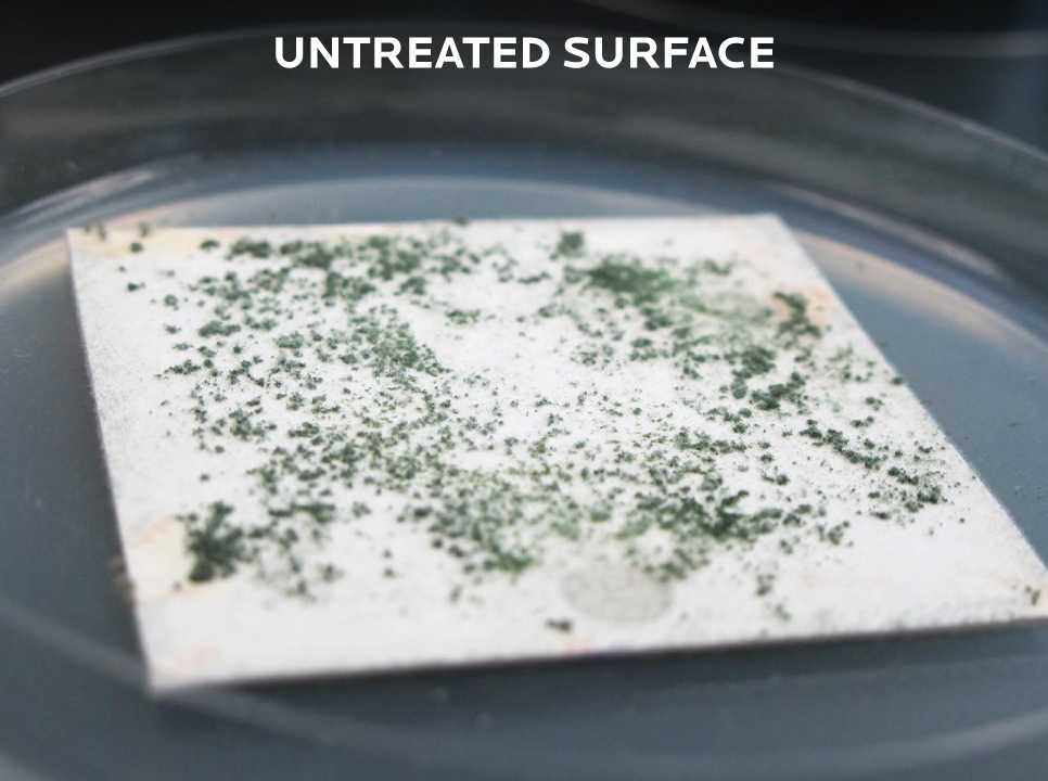 Untreated vinyl material in Petri dish with mold growing on vinyl surface